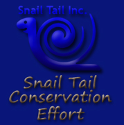 Snail Tail Conservation Effort